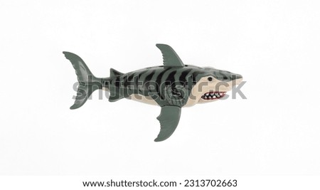 toy plastic angry shark isolated on white background
