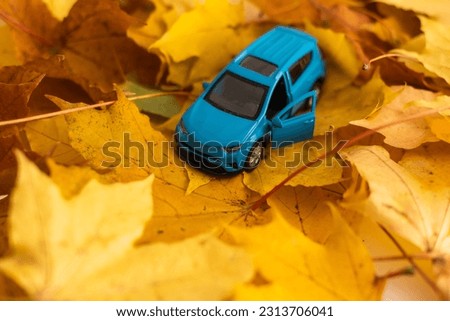 yellow leaves and a toy car