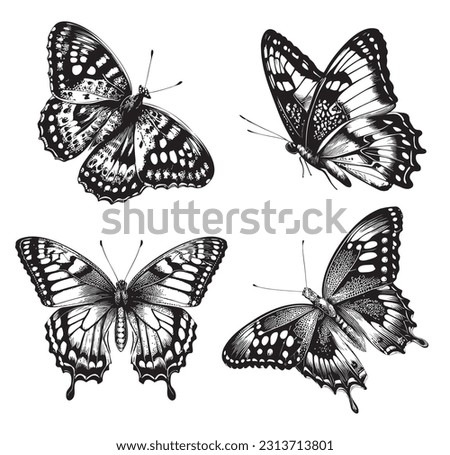 Beautiful butterfly set sketch hand drawn in doodle style illustration Royalty-Free Stock Photo #2313713801
