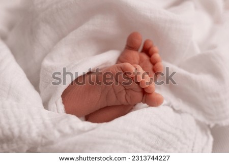 Newborn photography details: tiny feet on a white sheet, purity and new beginnings Royalty-Free Stock Photo #2313744227