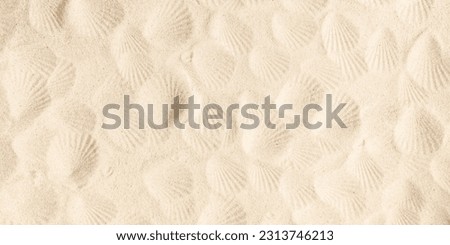 Texture of beach sand with seashells imprint. Beach sand texture in summer sun. Seashells on sand beach Royalty-Free Stock Photo #2313746213