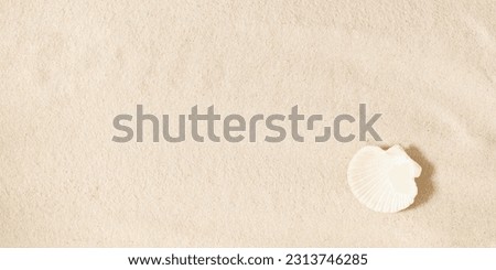 Seashell on clean sand of beach. Close up, beach sand texture. Beach sand texture in summer sun. banner Royalty-Free Stock Photo #2313746285
