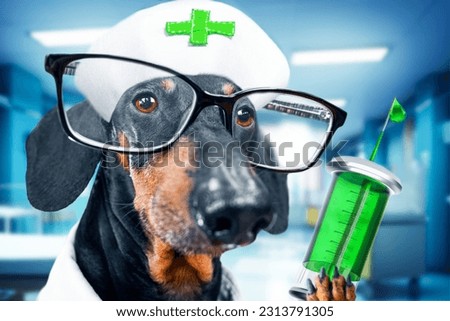 Dog in medical cap with cross, glasses holds injection with a needle and a green liquid for a vaccination. Cartoon image of a doctor at a pet veterinary clinic, children hospital. Treatment room