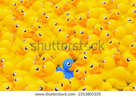 Unique blue toy duck among many yellow ones. Standing out from crowd, individuality and difference concept Royalty-Free Stock Photo #2313805335