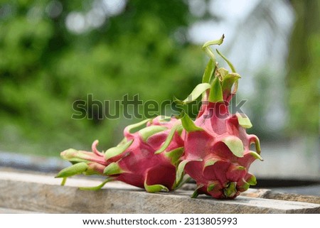 Dragon fruit with natural background, Tropical fruit in summer season