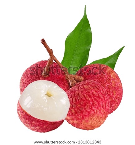 Fresh ripe lychee fruit or bunch of lychee on white background Royalty-Free Stock Photo #2313812343
