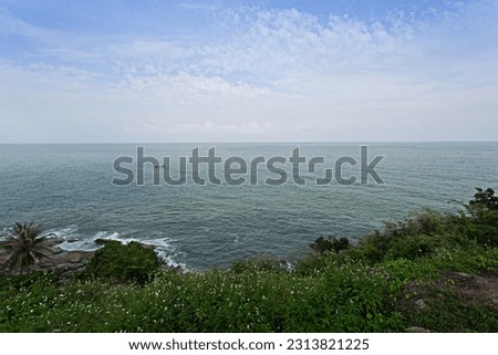 The sea and the sky on a clear day, at the edge of the picture are white flowering trees.