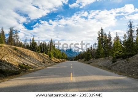 Mountain road in the forest in summer time. Maligne Lake Road. Jasper National Park, Canadian Rockies, Alberta, Canada. Royalty-Free Stock Photo #2313839445