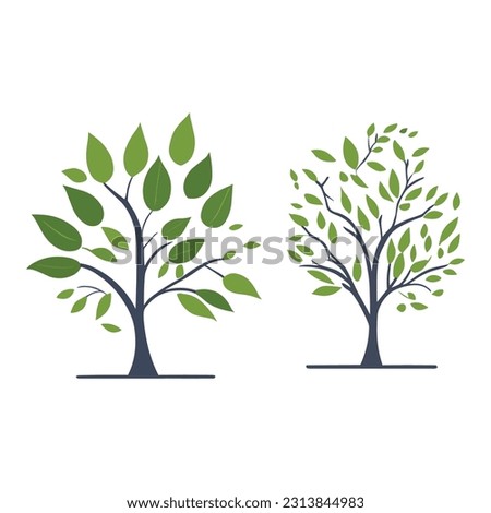 two Tree illustration on white background,flat vector