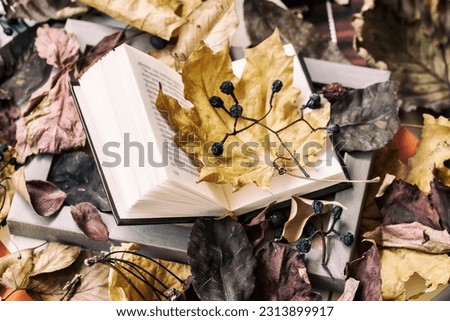 Open book in wooden frame close-up covered with autumn leaves, top view, sunny fall day, vintage background. Top view. Concept of starting school, romantic mood, back to school, education Royalty-Free Stock Photo #2313899917