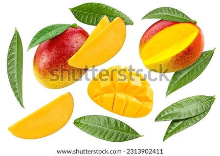 Flying ripe mango with green leaves isolated on white background. Mango collection with clipping path. Mango stack full depth of field macro shot. Royalty-Free Stock Photo #2313902411