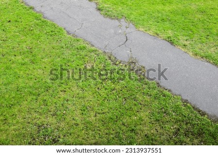 Park path, asphalt pedestrian road goes over green lawn, abstract background photo