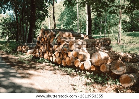 Log trunks pile, the logging timber wood industry in forest background. High quality photo