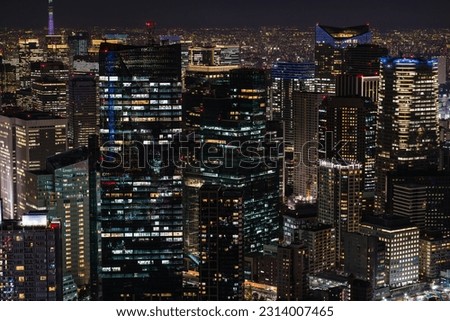 Night View of Tokyo, Japan