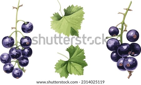 Black currant clipart, isolated vector illustration. Royalty-Free Stock Photo #2314025119