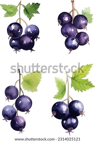 Black currant clipart, isolated vector illustration. Royalty-Free Stock Photo #2314025121