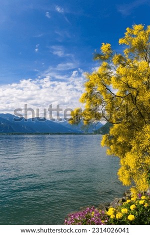 Mountains and lake Geneva from the Embankment in Montreux. Switzerland