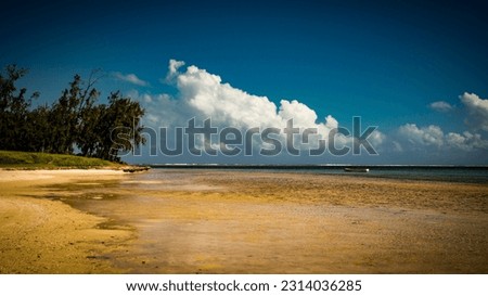 Exotic sandy beach with view 
