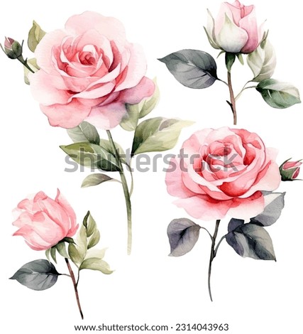 Set of floral branch. flower pink rose, green leaves. wedding concept with flower.