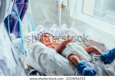Premature newborn recovering in incubator. His foot in a blue sock with a premature infant pulse oximeter. Intensive care unit, ventilator. Royalty-Free Stock Photo #2314056515