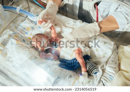 Top view of unrecognizable doctor examining premature baby with stethoscope at neonatal intensive care unit in hospital. Newborn is placed in the incubator. Royalty-Free Stock Photo #2314056519