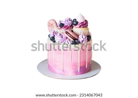 Elegant pink and purple cake for a girl or a woman. Isolated on white background with copy space for text. Decorated with chocolate, macaron, popsicles and blueberries