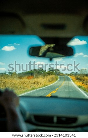 View of the road on a road trip through the interior of Bahia - Brazil.