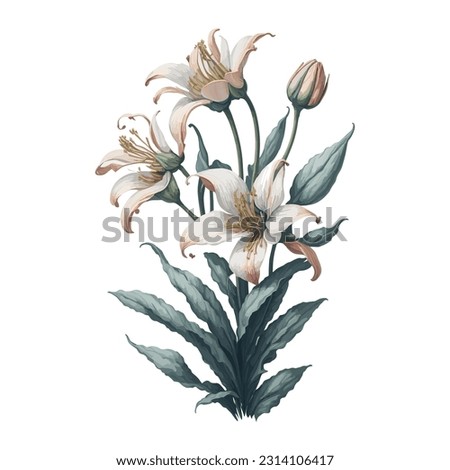 Watercolor Royal Lily Vector: This captivating watercolor artwork beautifully captures the regal elegance of the Royal Lily. Whether used for prints, stationery, or home decor.