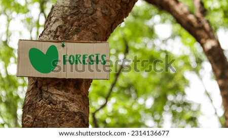 Paper label with the green heart and text forest on tree trunk on blur leaves texture background                              