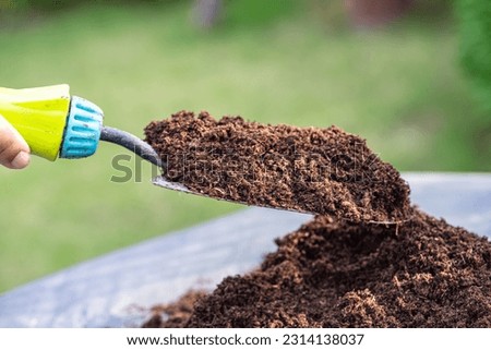 Gardener woman holding peat moss organic matter improve soil for agriculture organic plant growing, ecology concept. Royalty-Free Stock Photo #2314138037