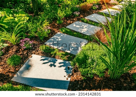Detail of  garden path with stone slabs with bark mulch and native plants. Landscaping and gardening concept. Royalty-Free Stock Photo #2314142831