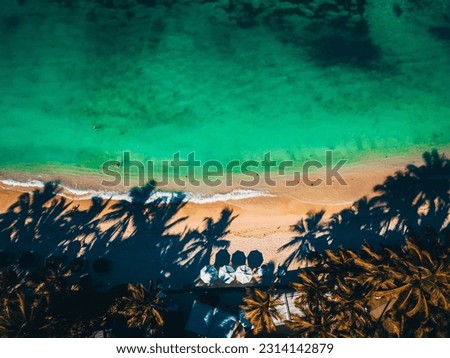 An aerial symmetric shot of the sea meeting the coast covered with palm trees.