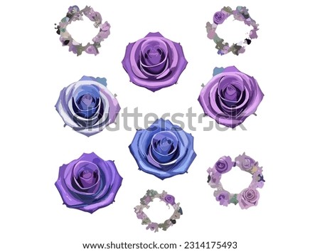 Classic blue, white rose, white hydrangea, ranunculus, campanula, anemone, peony, thistle flowers,greenery and eucalyptus,berry, juniper big vector set.Trendy color collection. Isolated and editable