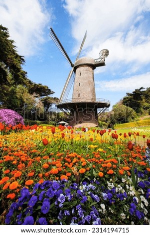 A vertical shot of a field with colorful flowers and a windmill in Golden gate park, San Francisco Royalty-Free Stock Photo #2314194715
