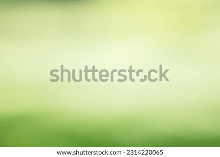 A blurry background with a meadow or park landscape. Blurred beautiful green background with a clearing on a sunny day