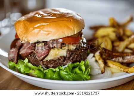 A closeup of a plate of delicious hamburger with fries