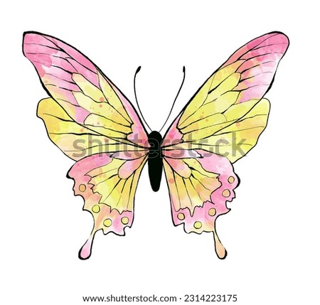 Watercolor pink Butterfly, isolated on white background.