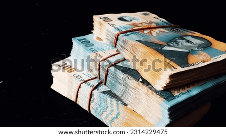 Romanian LEI Currency Banknote. RON Money Royalty-Free Stock Photo #2314229475