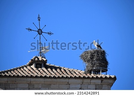 A stork sits in its nest on the roof of an old church in Meta del Marqués-Spain. Royalty-Free Stock Photo #2314242891