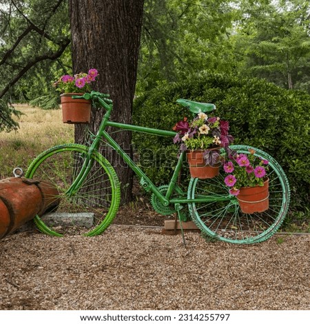 Green painted decorative bike holding flower pots full of flowers