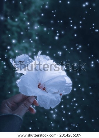 The hand holding white flower in dark place. There is a lot of sparkle against the dark green background.