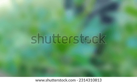 Abstract photos with dominant colors green, blue, yellow and red for creative art backgrounds and creative industries