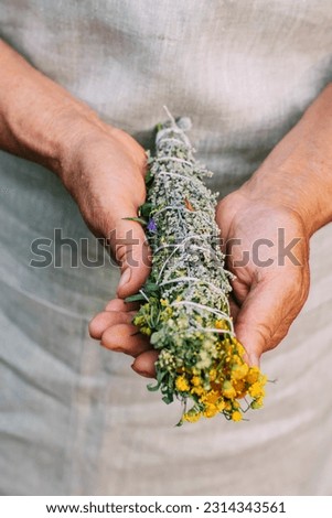 Women's hands hold a bundle of medicinal herbs. Woman herbalist doctor prepares herbal collection, incense Royalty-Free Stock Photo #2314343561