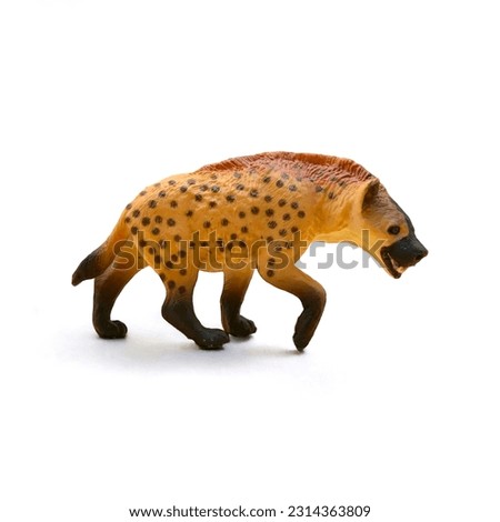 Close-up of toy miniature hyena animal side view on white background