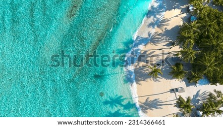 Summer palm tree  and Tropical beach with blue  sky background Royalty-Free Stock Photo #2314366461