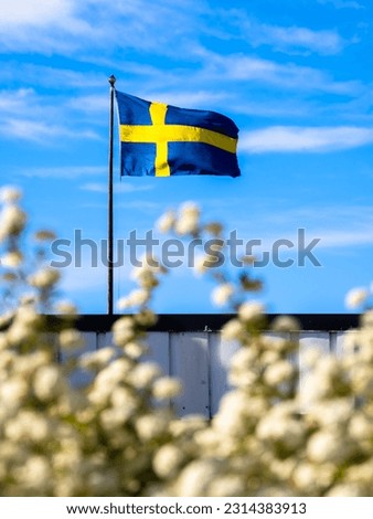 Swedish national flag waving on the island of Vrango, Gothenburg, Sweden Royalty-Free Stock Photo #2314383913