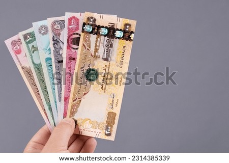 United Arab Emirates money - dirham in the hand on a gray background Royalty-Free Stock Photo #2314385339