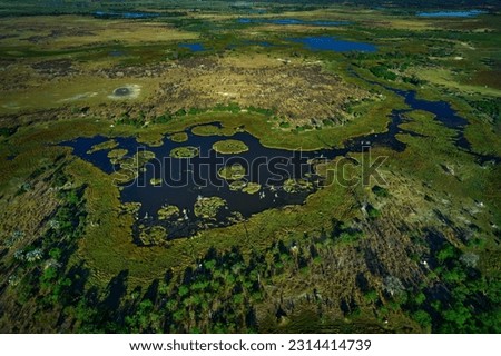 Aerial landscape in Okavango delta, Botswana. Lakes and rivers, view from airplane. Green vegetation in South Africa. Trees with water in rainy season.  Wet season in Africa.