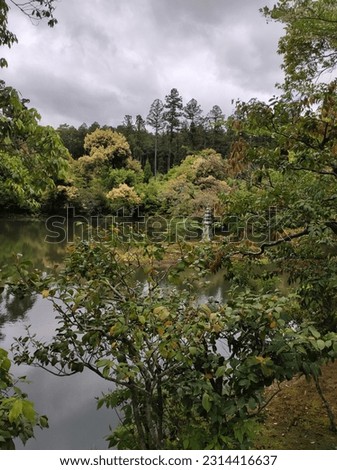 A large and vast brown and green lake, right in the middle of Asian greenery and vegetation, quiet and relaxing corner, with small islands, through tree branches, a clean corner, leaves yellows greens