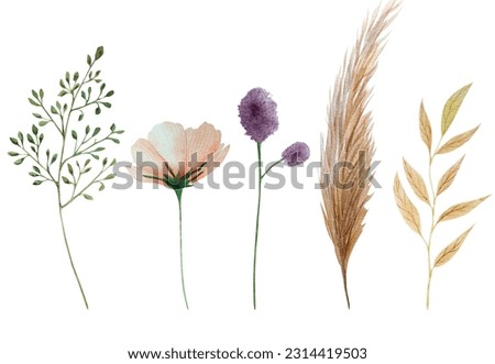 Watercolor, botanical illustration, wild flower, realistic, boho style, Mothers day